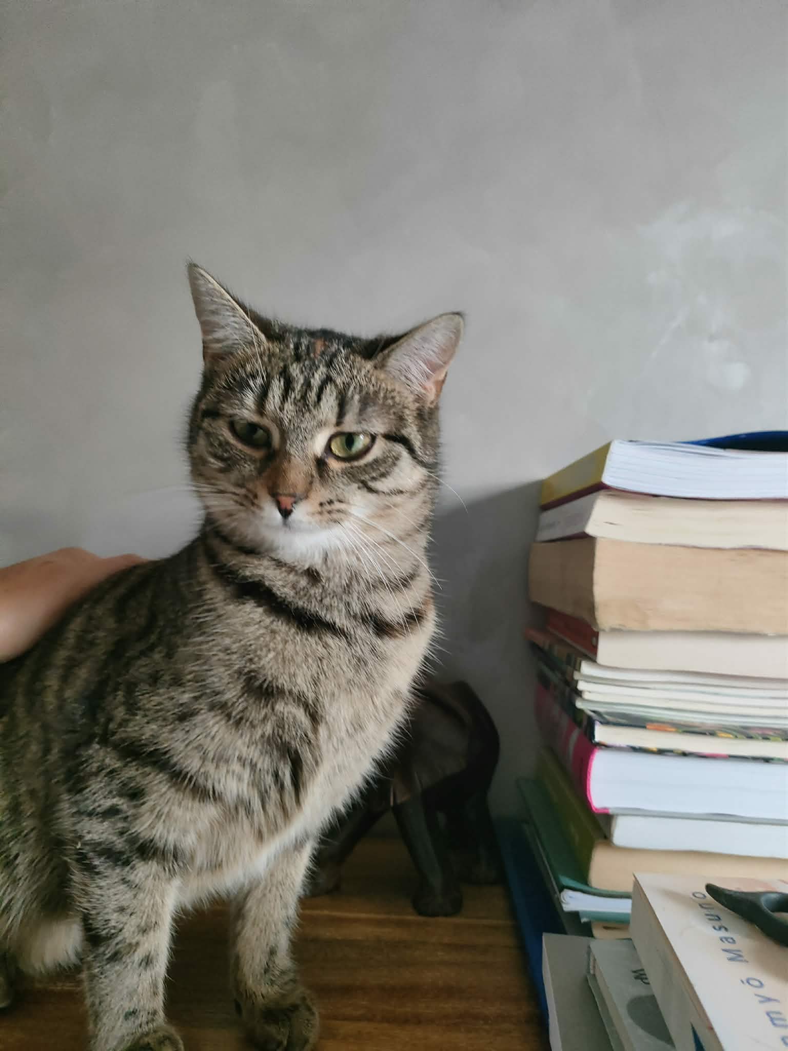 Rita