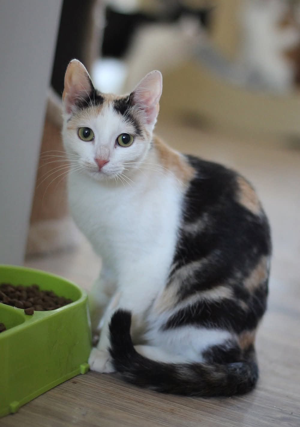 Missy